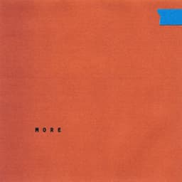 Release Cover Wallows - More