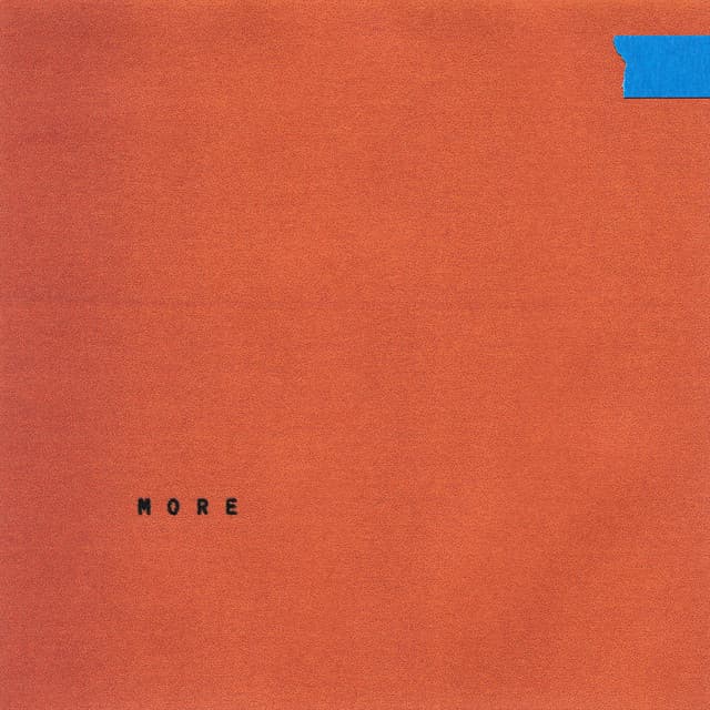 Release Cover Wallows - More