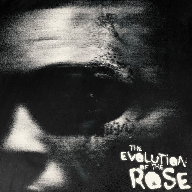 Release Cover Lil Skies - The Evolution of the Rose