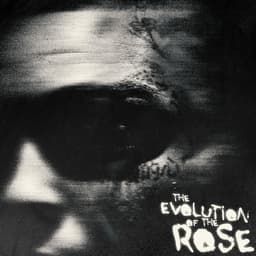 Release Cover Lil Skies - The Evolution of the Rose