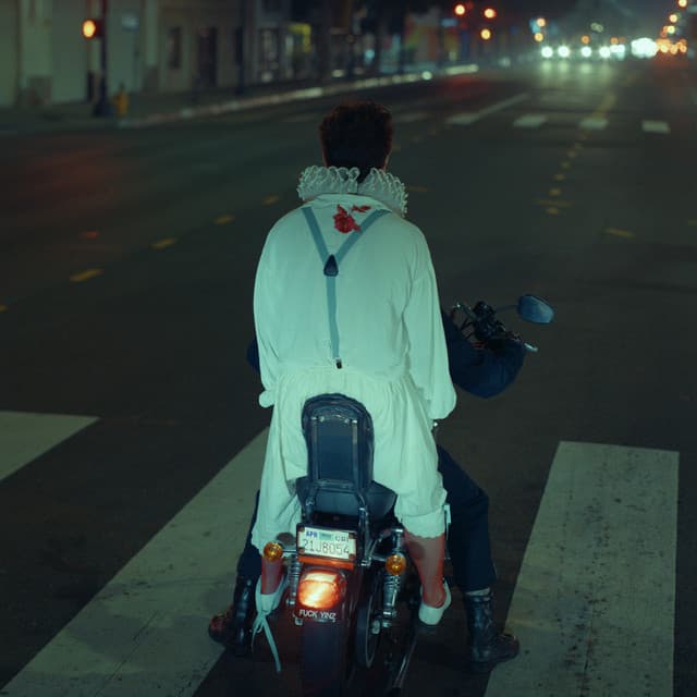 Release Cover The Undercover Dream Lovers - What Have You Got To Lose