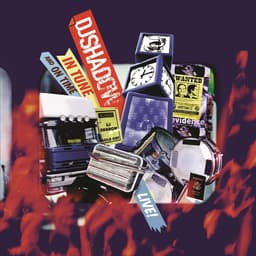 Release Cover DJ Shadow - In Tune And On Time