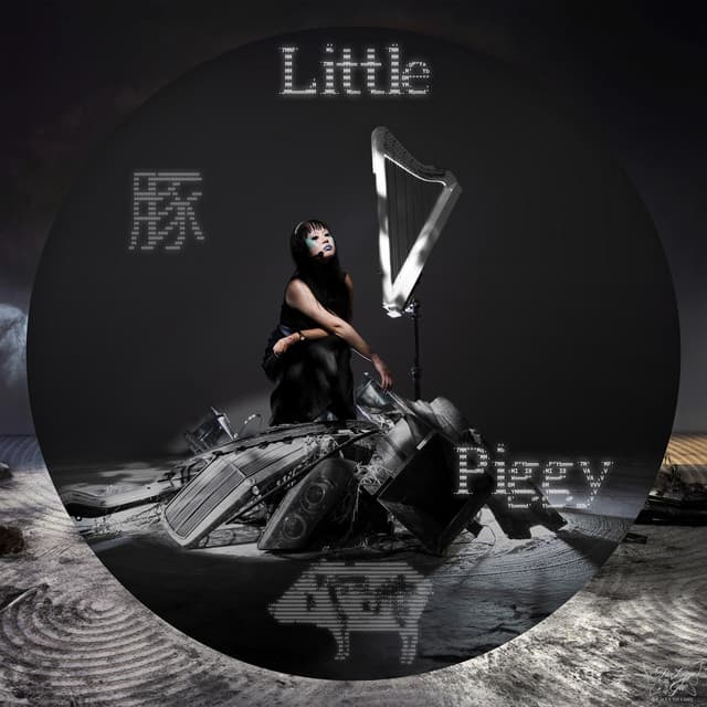 Release Cover Alice Longyu Gao - Little Piggy