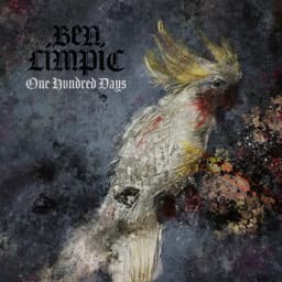 Release Cover Ben Limpic - One Hundred Days