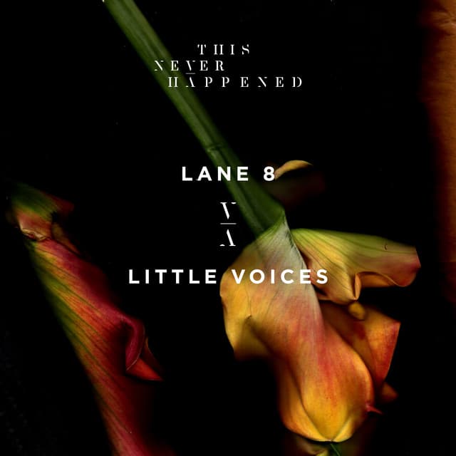 Release Cover Lane 8 - Little Voices