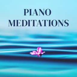 Release Cover Johann Sebastian Bach, Ludwig van Beethoven, Wolfgang Amadeus Mozart, Pyotr Ilyich Tchaikovsky, Frédéric Chopin, Franz Liszt, Claude Debussy, George Frideric Handel, Franz Schubert, Johannes Brahms, Antonio Vivaldi, Erik Satie - 100 Piano Meditations