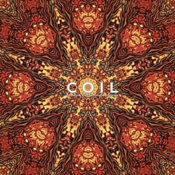 Release Cover Coil - Stolen & Contaminated Songs