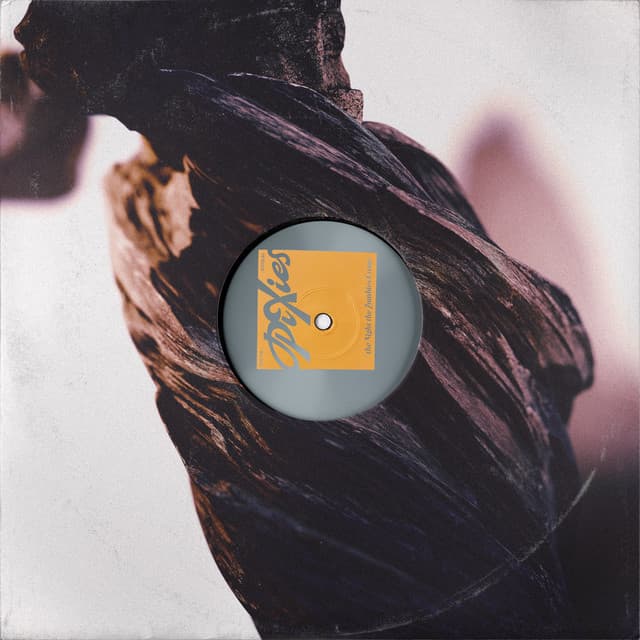Release Cover Pixies - The Night the Zombies Came