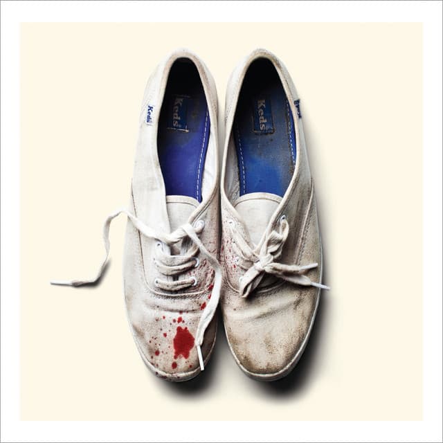 Release Cover Sleigh Bells - Reign Of Terror