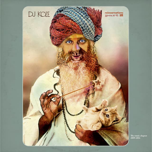 Release Cover DJ Koze - Reincarnations, Pt. 2 - The Remix Chapter 2009 - 2014