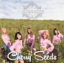 Cover of Cherry Seeds by CHERRSEE