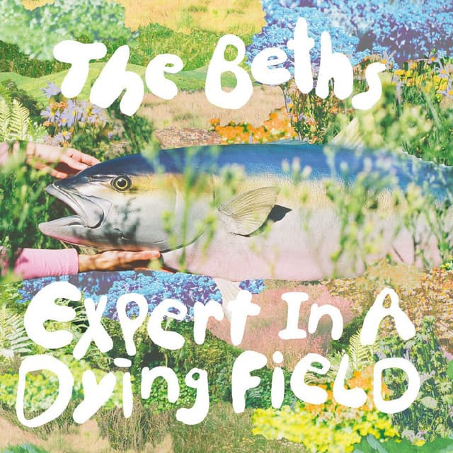 Release Cover The Beths - Expert In A Dying Field