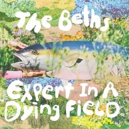 Release Cover The Beths - Expert In A Dying Field