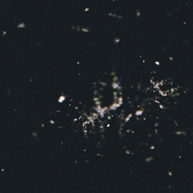 Release Cover Free Dust, M. Sage - Archive