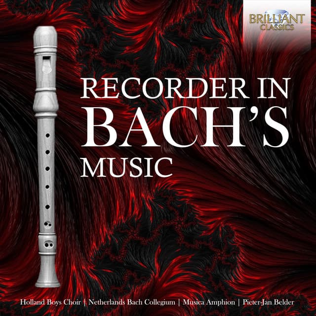 Release Cover Johann Sebastian Bach, Musica Amphion, Kammerorchester Berlin, Erik Bosgraaf, Netherlands Bach Collegium, Cordevento, Stefano Bagliano, Andrea Coen - The Recorder in Bach's Music