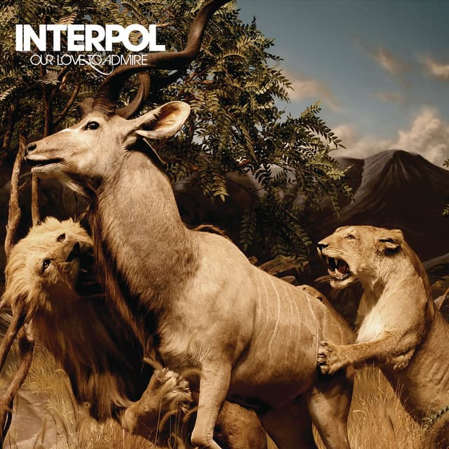Release Cover Interpol - Our Love To Admire