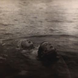 Release Cover Midnight Faces - Fornication