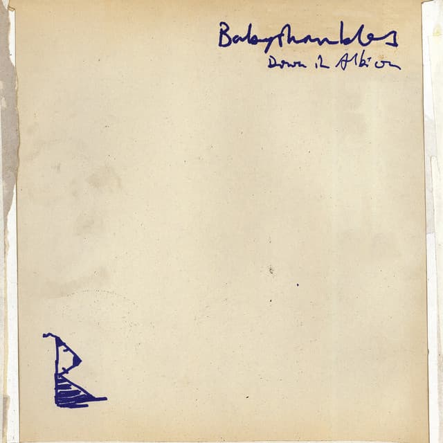Release Cover Babyshambles - Down In Albion (International Edition)