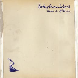 Release Cover Babyshambles - Down In Albion (International Edition)
