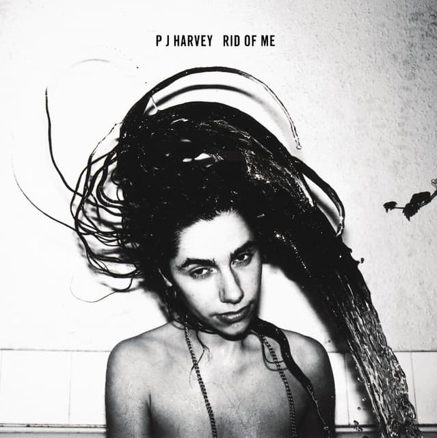 Release Cover PJ Harvey - Rid Of Me