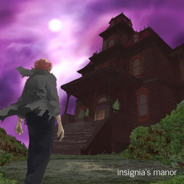 Release Cover kurtains - insignia's manor