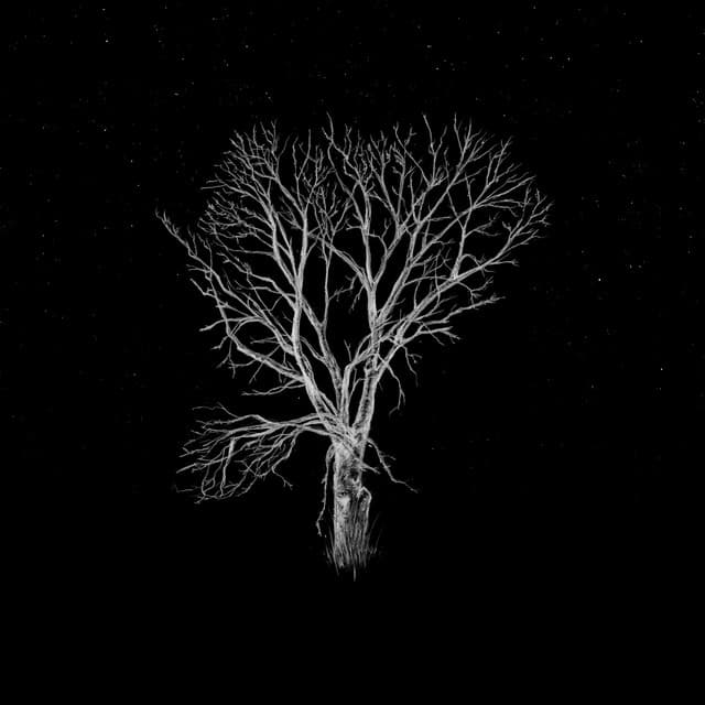 Release Cover Fink - Bloom Innocent (Acoustic)