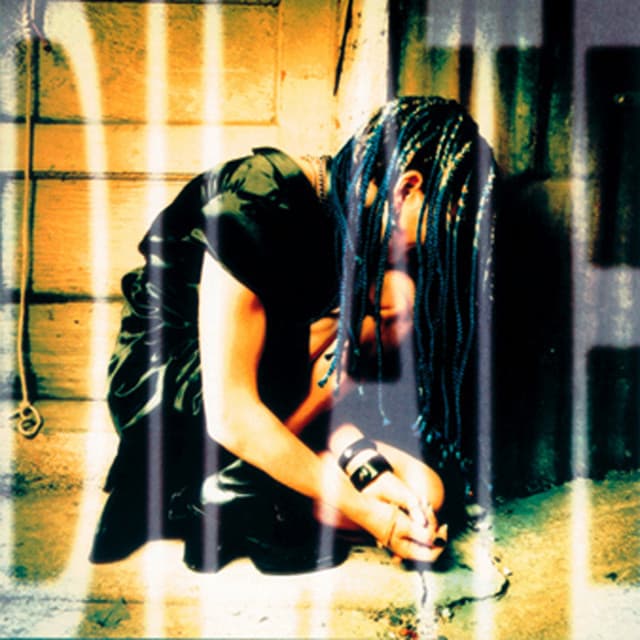 Release Cover Ani DiFranco - Dilate