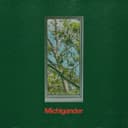 Cover of Michigander by Michigander