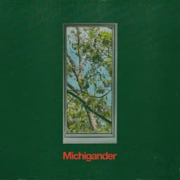 Release Cover Michigander - Michigander