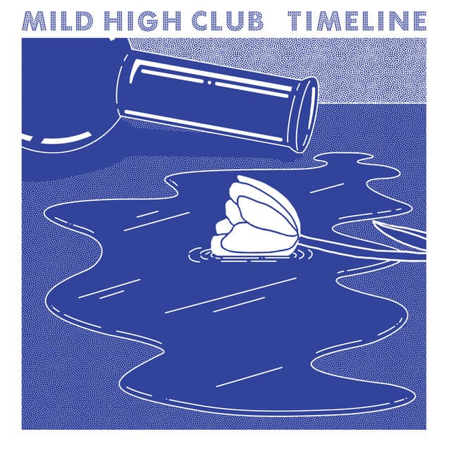 Release Cover Mild High Club - Timeline