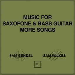 Release Cover Sam Gendel, Sam Wilkes - Music for Saxofone & Bass Guitar More Songs