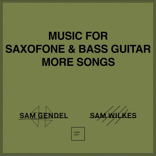 Release Cover Sam Gendel, Sam Wilkes - Music for Saxofone & Bass Guitar More Songs