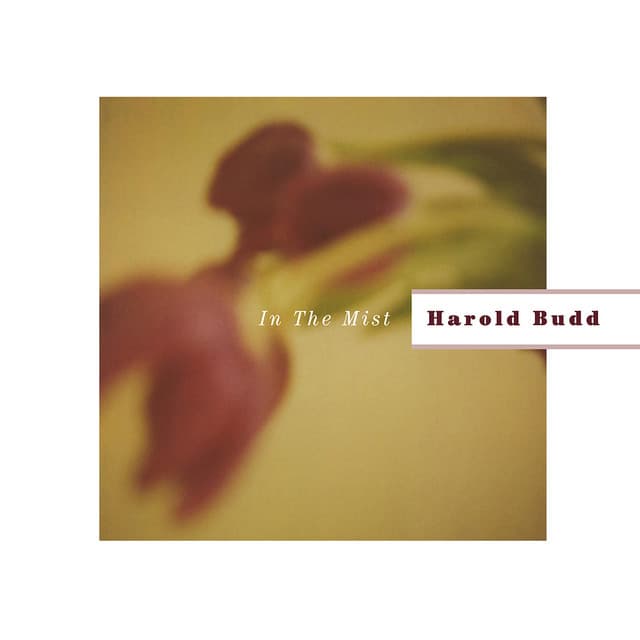 Release Cover Harold Budd - In The Mist