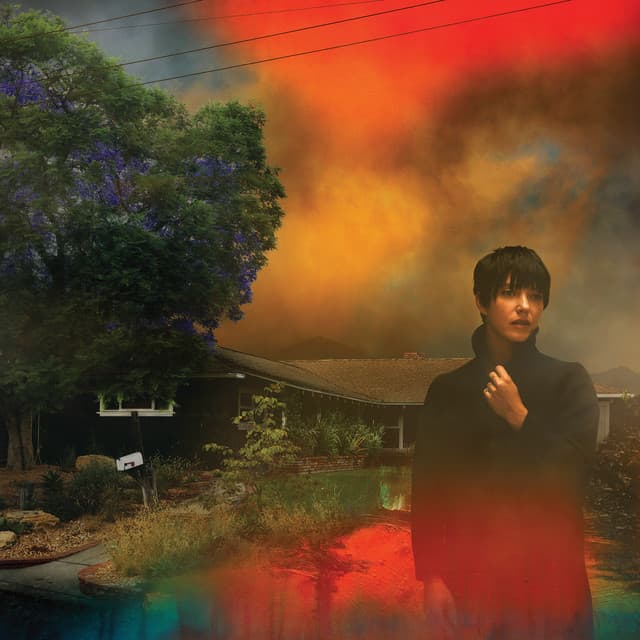 Release Cover Sharon Van Etten - We've Been Going About This All Wrong