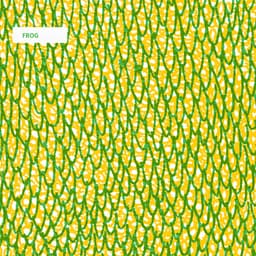 Release Cover Frog - Frog