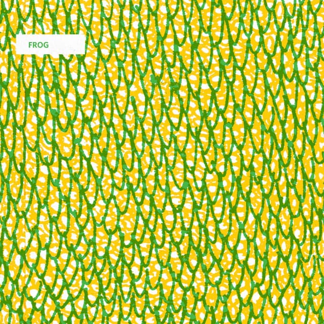 Release Cover Frog - Frog