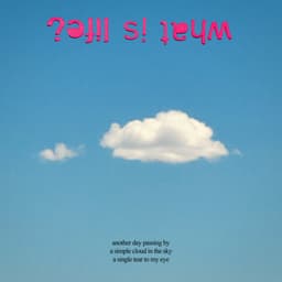 Release Cover San Holo - what is life?