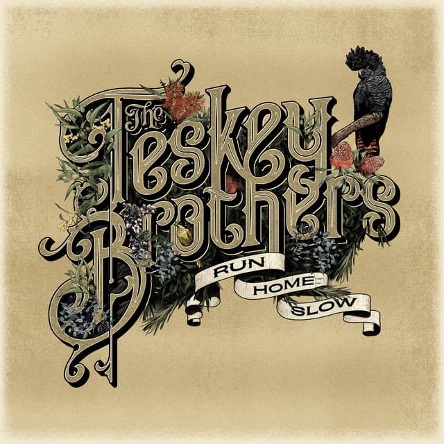 Release Cover The Teskey Brothers - Run Home Slow