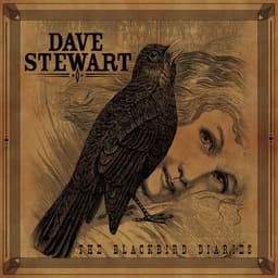 Release Cover Dave Stewart - The Blackbird Diaries
