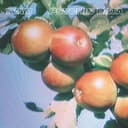 Release Cover TVAM - Psychic Data