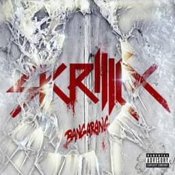 Release Cover Skrillex - Bangarang EP