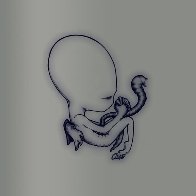 Release Cover Sigur Rós - Ágætis byrjun (A Good Beginning) [20th Anniversary Deluxe Edition]