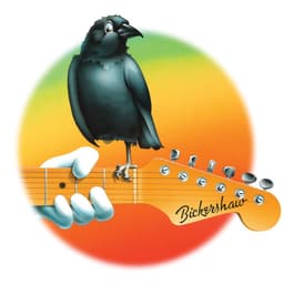 Release Cover Grateful Dead - Europe '72 Vol. 13: Bickershaw Festival, Wigan, England 5/7/72 (Live)