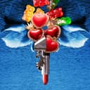 Cover of Bunky Becky Birthday Boy by Sleigh Bells