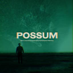Release Cover The Radiophonic Workshop - Possum (Original Motion Picture Soundtrack)