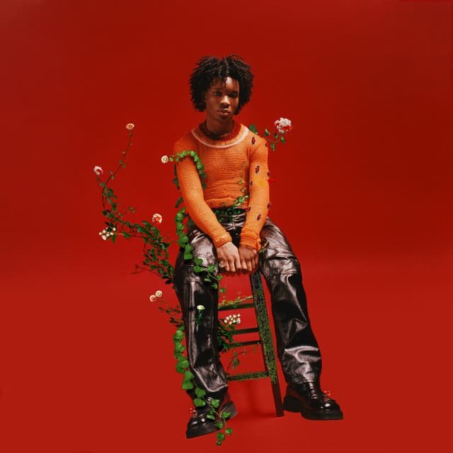 Release Cover d4vd - Petals to Thorns