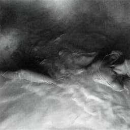 Release Cover Hayley Williams - FLOWERS for VASES / descansos