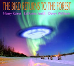 Release Cover Henry Kaiser, LaDonna Smith, Davey Williams - The Bird Returns to the Forest