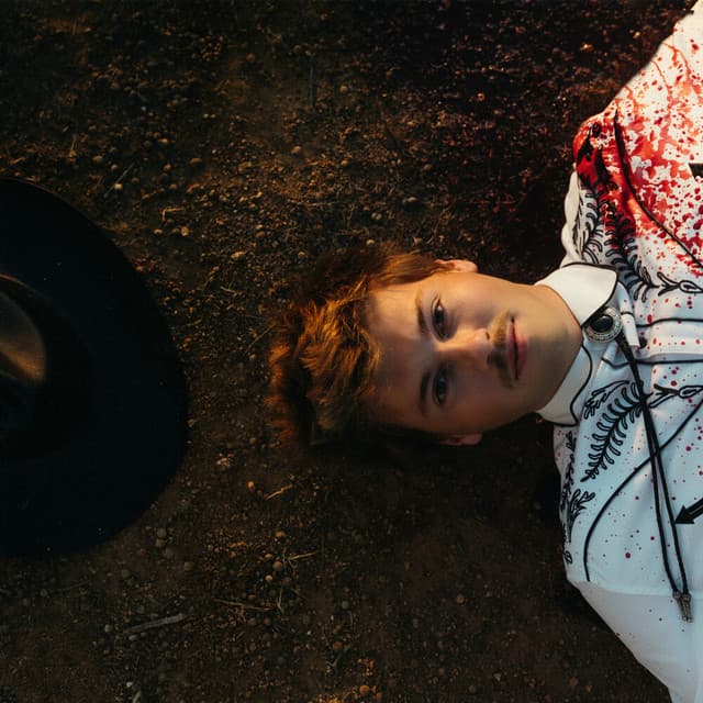 Release Cover Ruel - Wild Guess