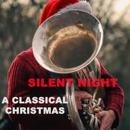 Release Cover Johann Sebastian Bach, Wolfgang Amadeus Mozart, Pyotr Ilyich Tchaikovsky, Ludwig van Beethoven, John Williams, George Frideric Handel, Franz Schubert, Giacomo Puccini, Antonio Vivaldi, Felix Mendelssohn - Silent Night - A Classical Christmas